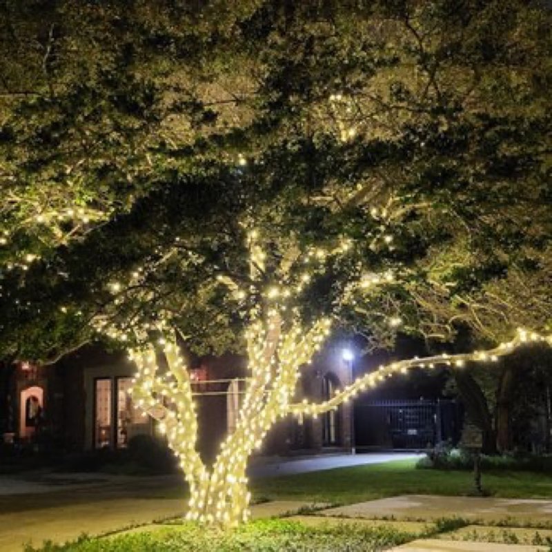 {SERVICE_NAME} project in Westlake