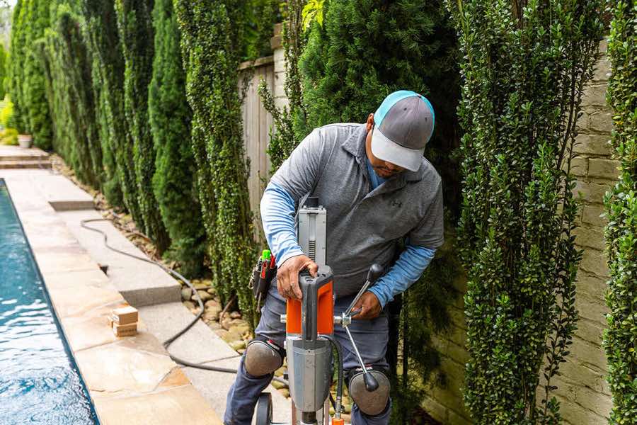 Tree Uplighting in Westlake